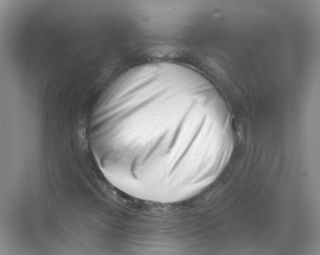 X0000069801396200606091757