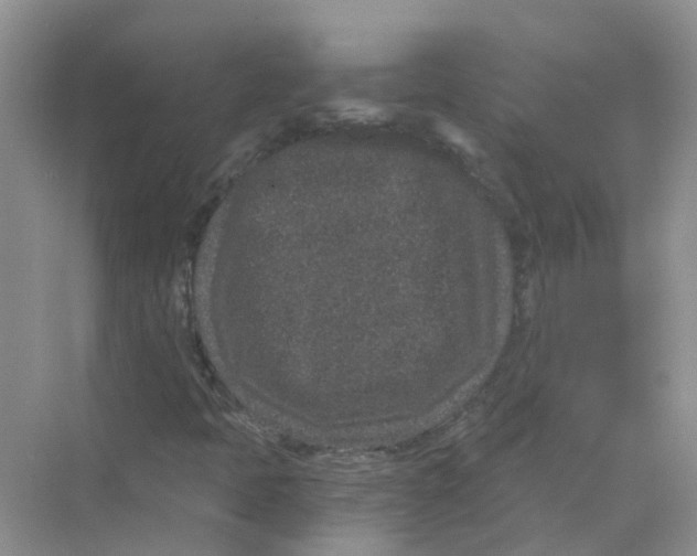 X0000069801397200606091757