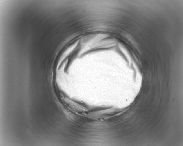 X0000069801418200606091757