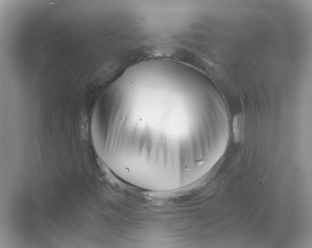 X0000069801443200606091756