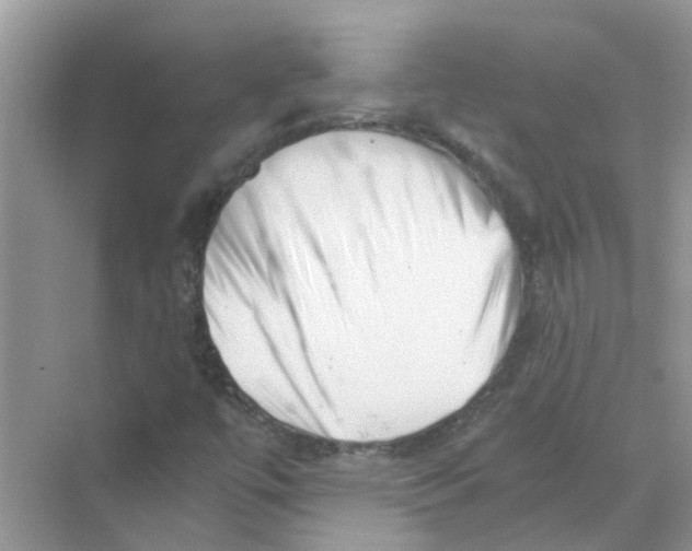 X0000069801447200606091756