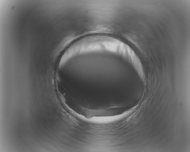 X0000069801455200606091756