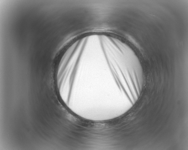 X0000069801456200606091756