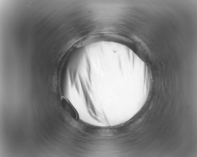 X0000069801457200606091756