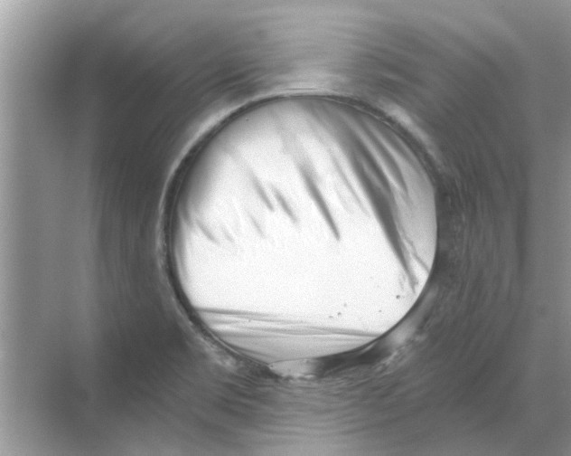 X0000069801469200606091756