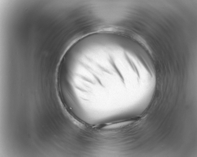 X0000069801483200606091756