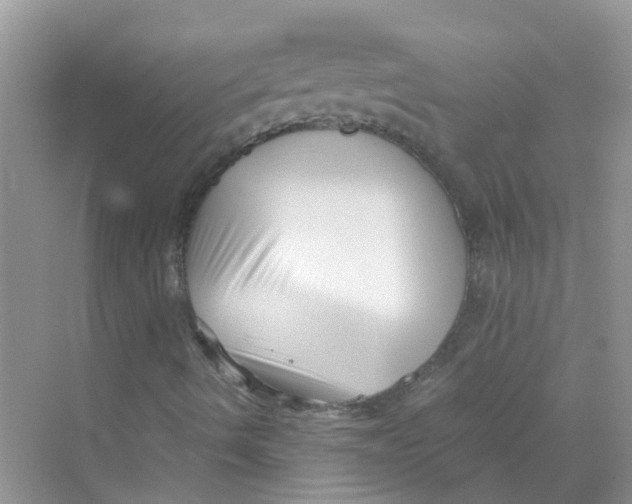 X0000069801490200606091755