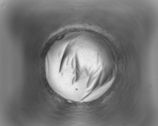 X0000069801494200606091755