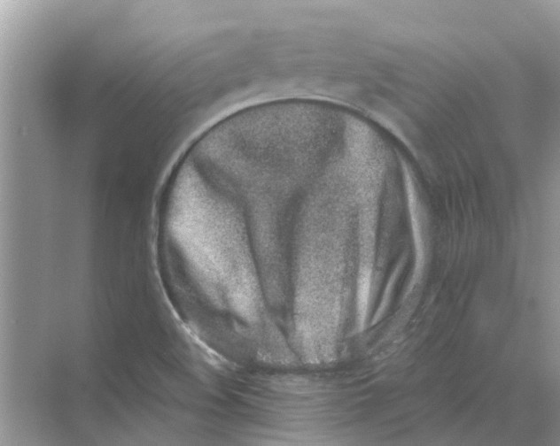 X0000069801508200606091755