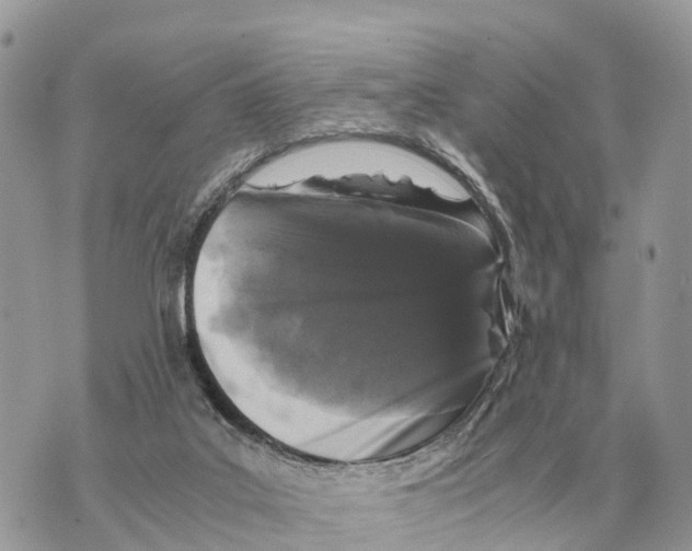 X0000069800019200606161835