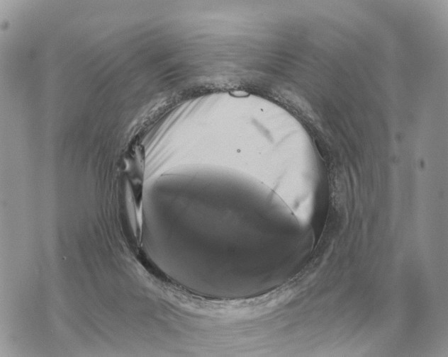 X0000069800023200606161835