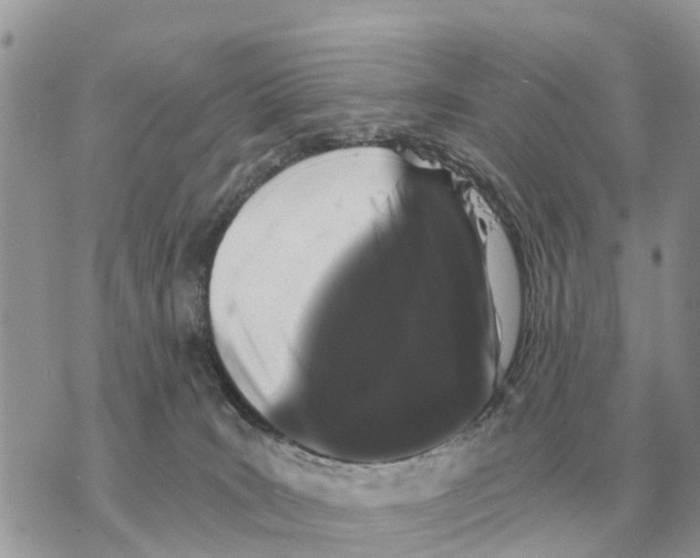 X0000069800035200606161835