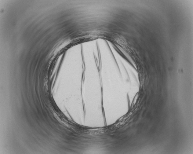X0000069800050200606161834