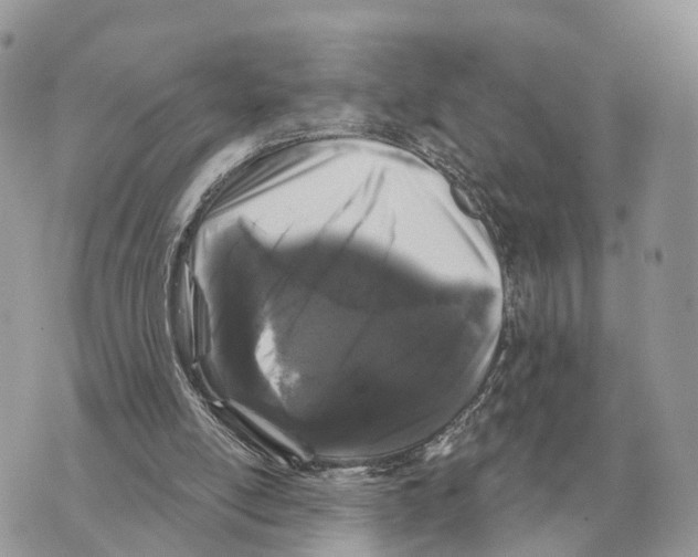 X0000069800054200606161834