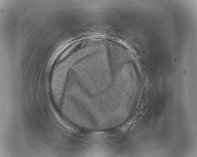 X0000069800055200606161834