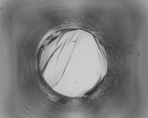 X0000069800056200606161834