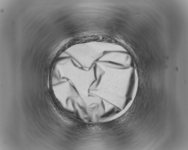 X0000069800062200606161834