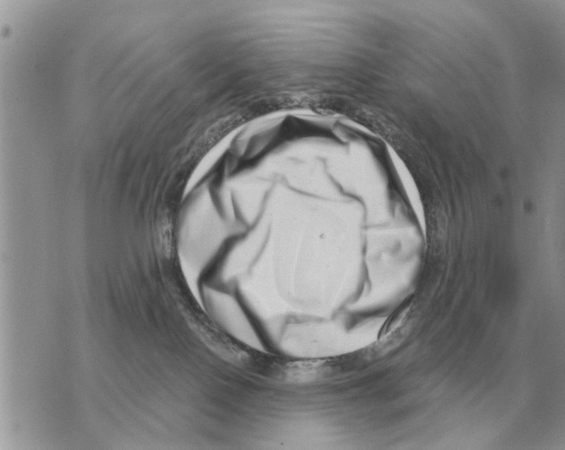 X0000069800090200606161834