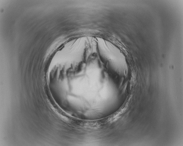 X0000069800101200606161833