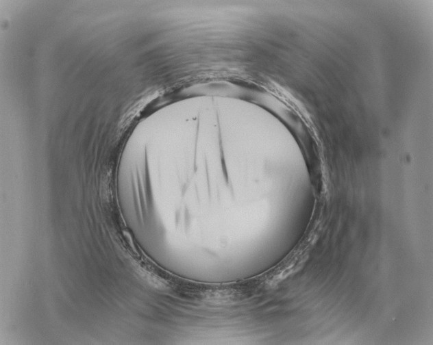 X0000069800105200606161833