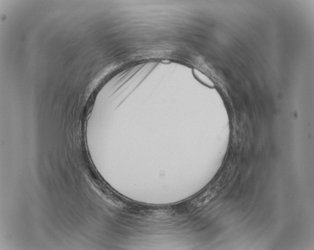 X0000069800107200606161833