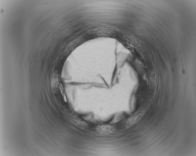 X0000069800137200606161833