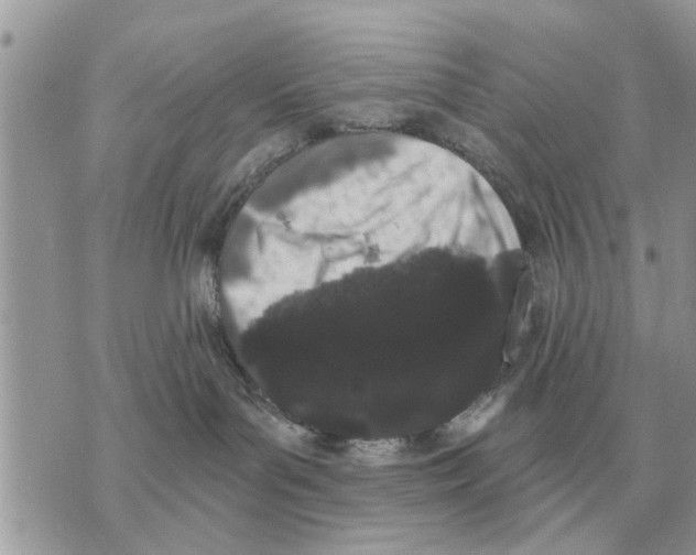 X0000069800143200606161833