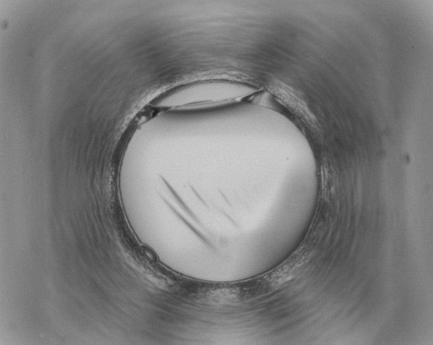 X0000069800156200606161832