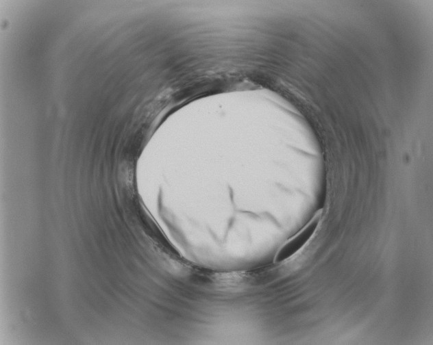X0000069800192200606161833
