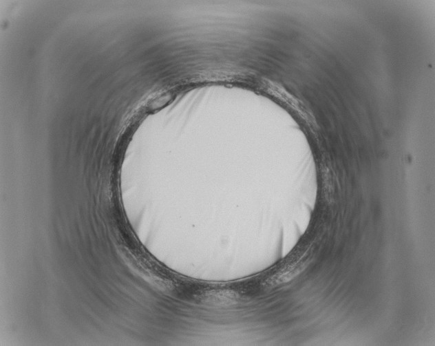 X0000069800203200606161832