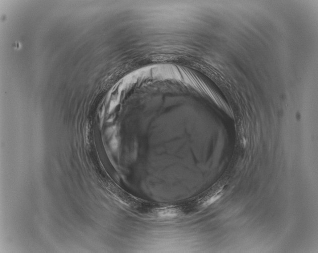 X0000069800219200606161832