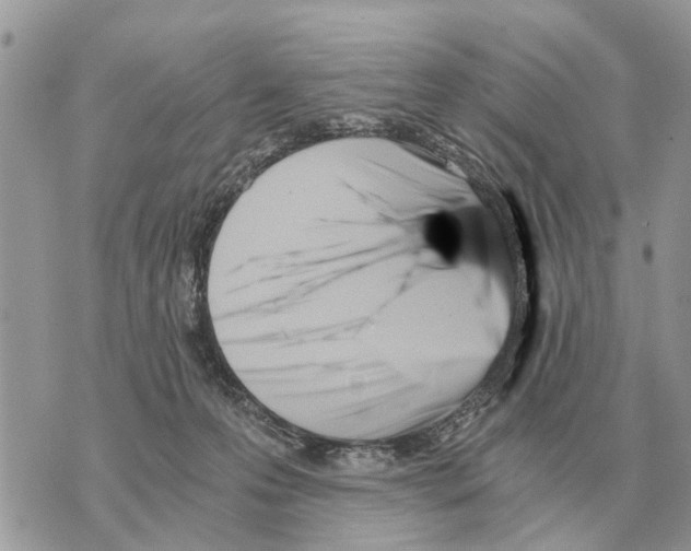 X0000069800223200606161831
