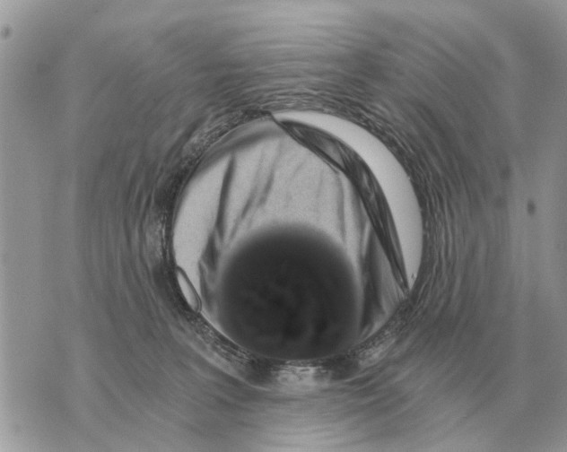 X0000069800227200606161831