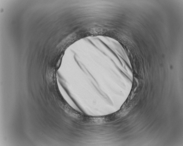X0000069800233200606161831