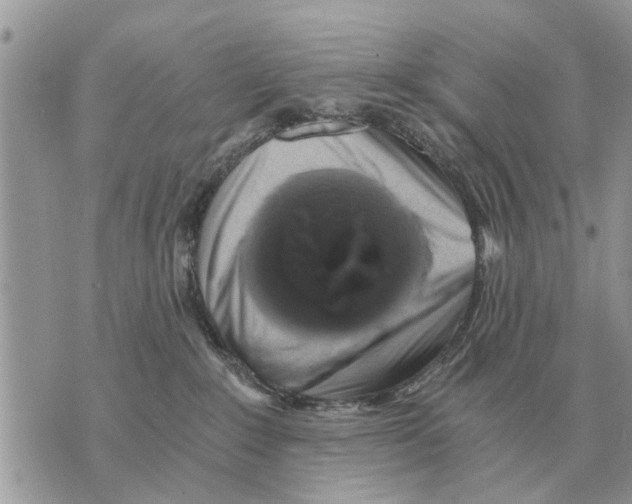 X0000069800235200606161831