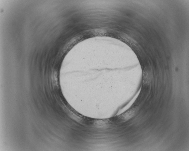 X0000069800238200606161831