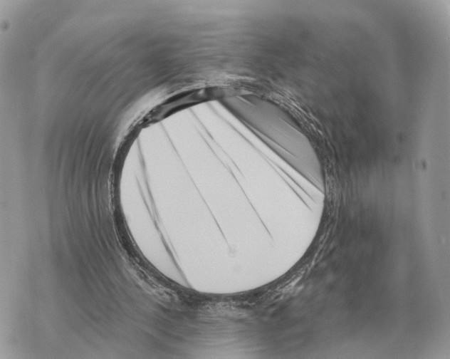 X0000069800244200606161830