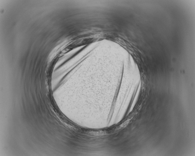 X0000069800245200606161830