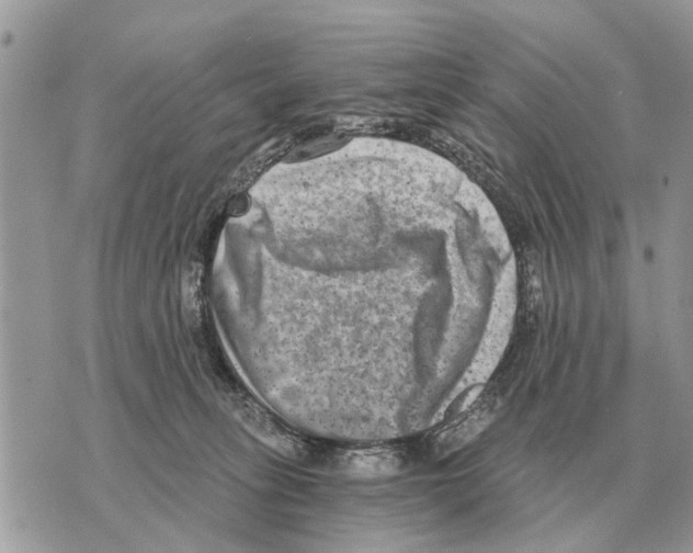 X0000069800275200606161831