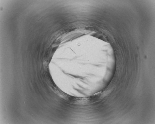 X0000069800288200606161831
