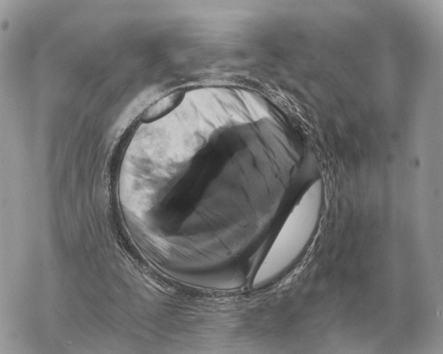 X0000069800295200606161830