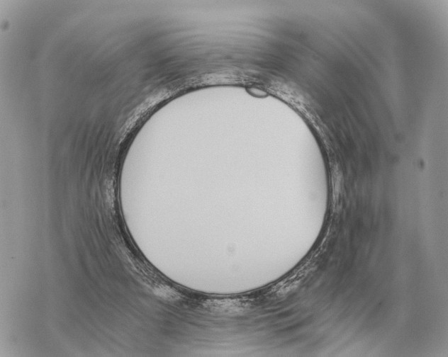 X0000069800297200606161830