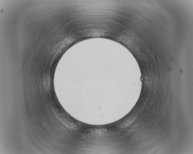 X0000069800304200606161830