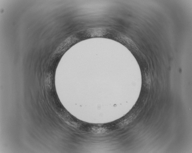 X0000069800311200606161830