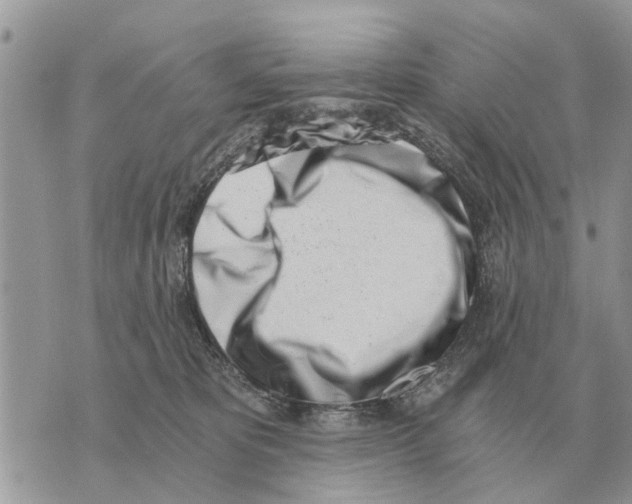 X0000069800325200606161830