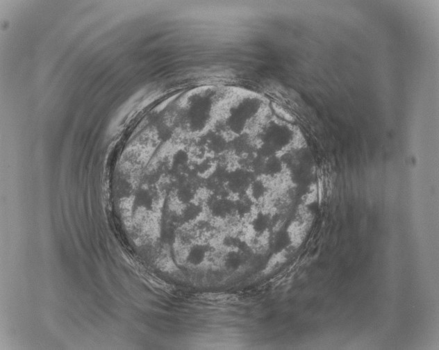 X0000069800339200606161829