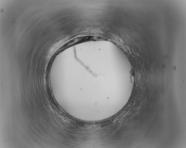X0000069800340200606161829