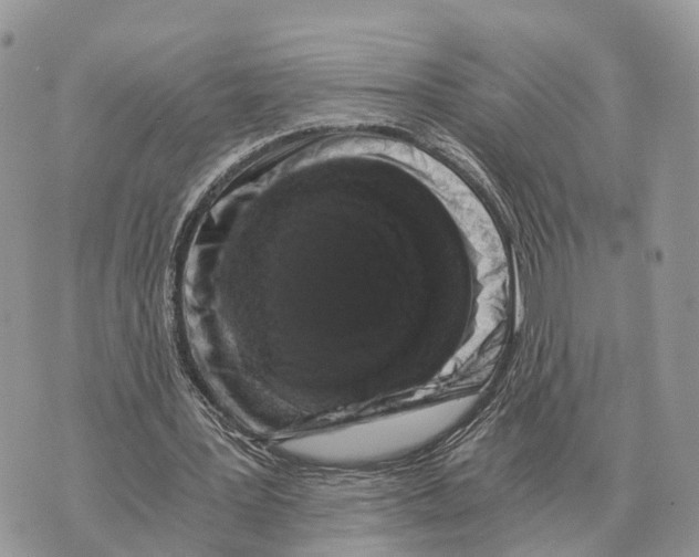 X0000069800387200606161829