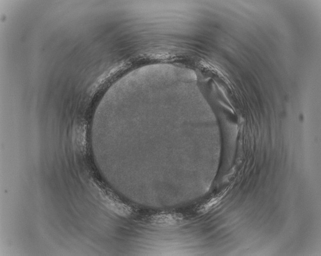X0000069800404200606161829