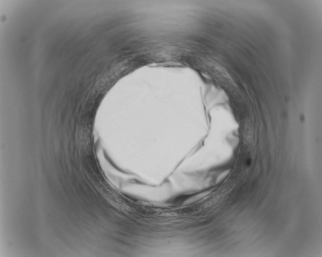 X0000069800409200606161828